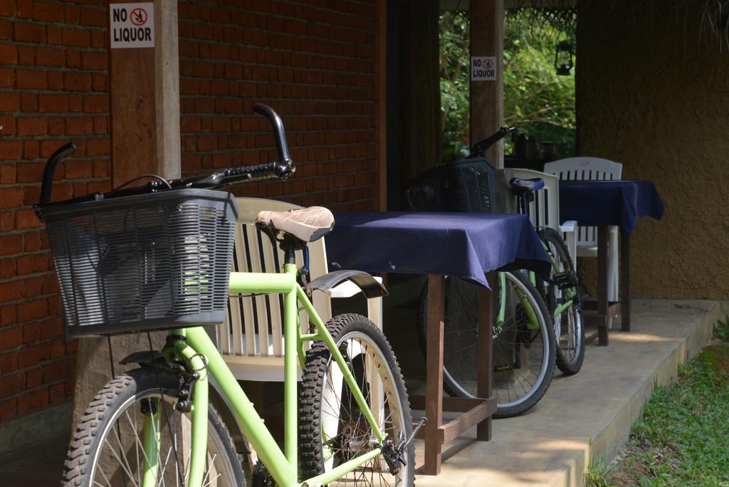 Jungle Beach Hostel Унаватуна Экстерьер фото